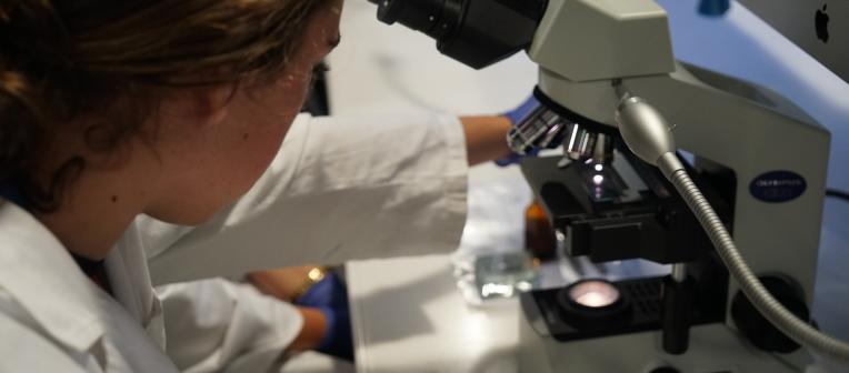 Student looking through microscope